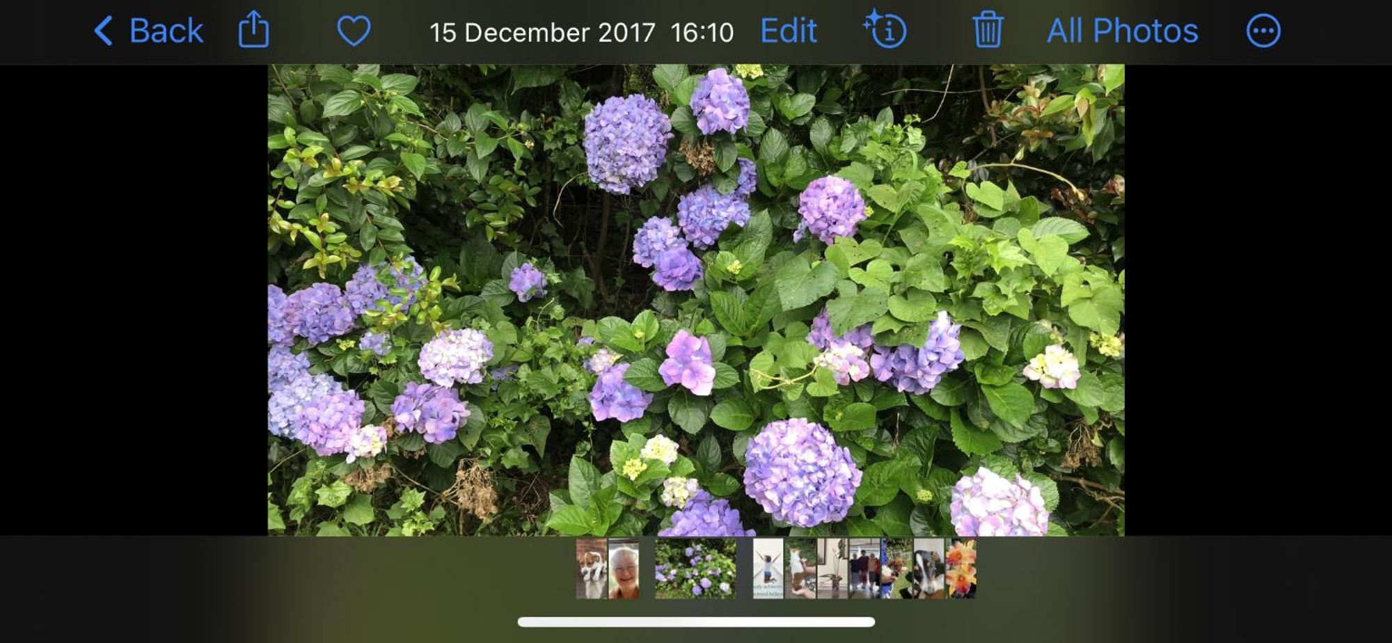 Le Residence De Josephine 클루프 외부 사진